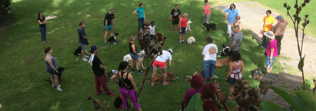 Dog Training Group Classes Myrtle Beach