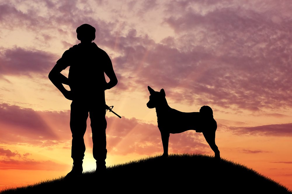 Celebrating the K-9 Veterans on K-9 Veterans Day | Dog Training In Your Home Myrtle Beach