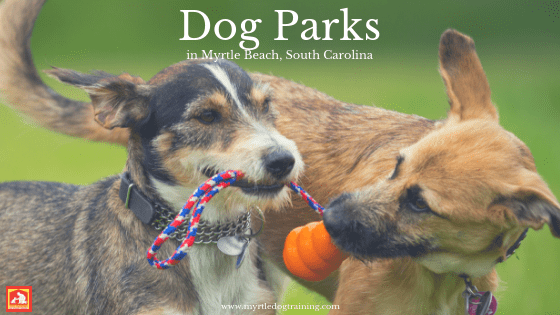 A list of local dog parks in Myrtle Beach, SC | Dog Training In Your Home Myrtle Beach