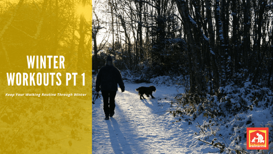 Don't let the cold deter you from getting your dog some exercise! Here are some tips for walking your dog during winter months.