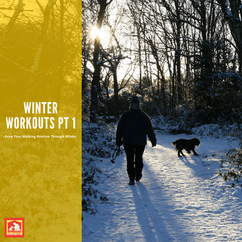 Don't let the cold deter you from getting your dog some exercise! Here are some tips for walking your dog during winter months.