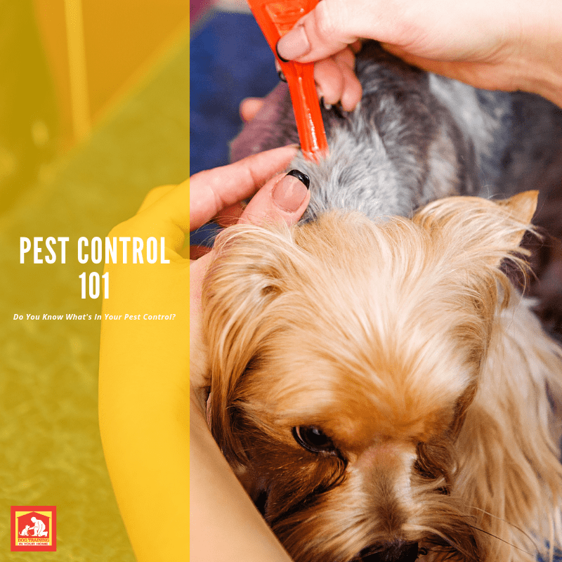 Do You Know What's In Your Dog's Pest Control? | Dog Training In Your Home Myrtle Beach