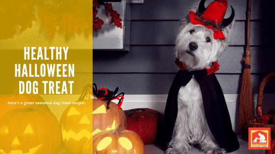 Halloween Dog Treat Recipe | Dog Training In Your Home Myrtle Beach