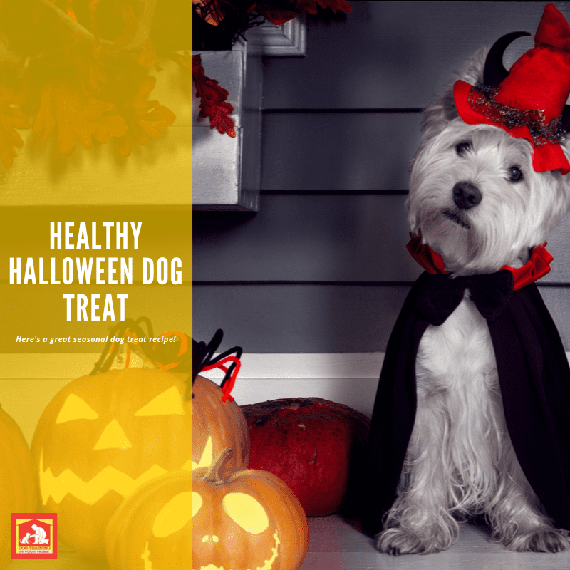 Looking for a Healthy Halloween Dog Treat?