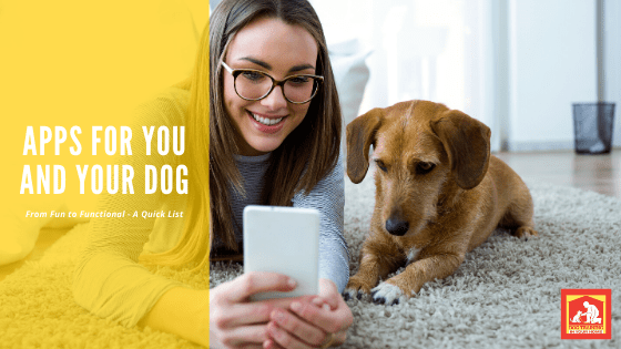 Apps For You And Your Dog | Dog Training In Your Home Myrtle Beach