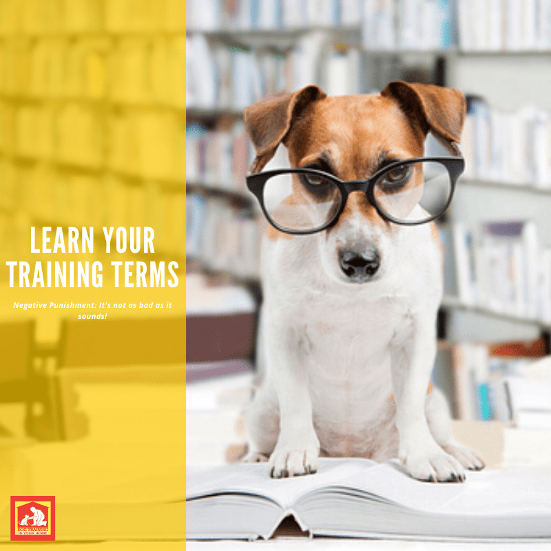 Let’s Learn Training Terms: Negative Punishment