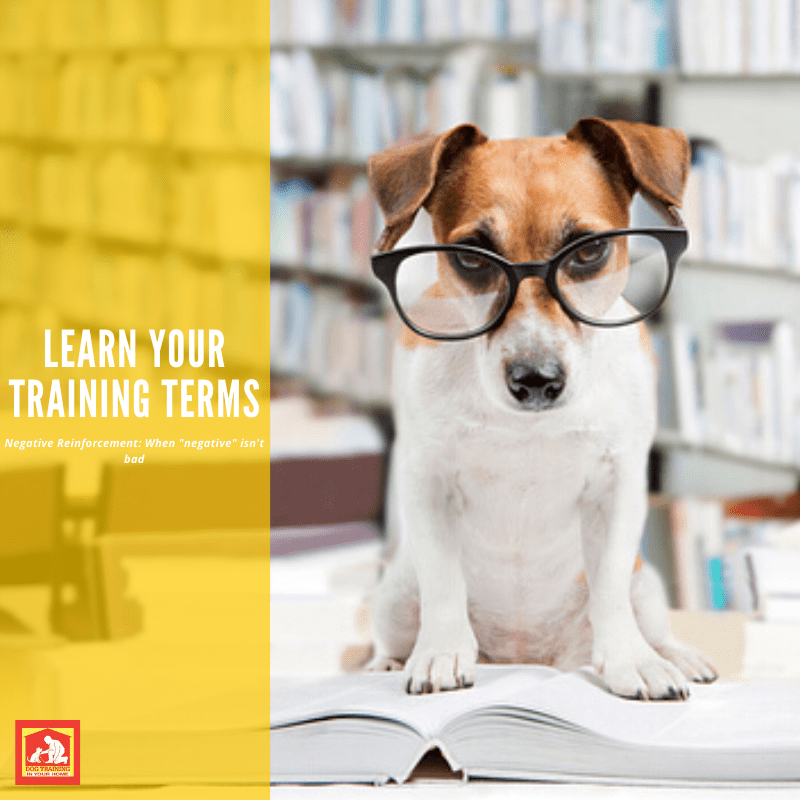 Let’s Learn Training Terms: Negative Reinforcement