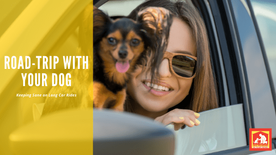 Road-Trip With Your Dog | Dog Training In Your Home Myrtle Beach