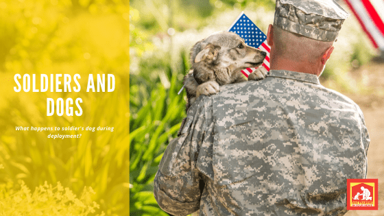 Soldiers and Dogs | Dog Training In Your Home Myrtle Beach