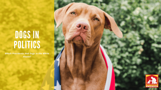 Dogs in Politics | Dog Training In Your Home Myrtle Beach