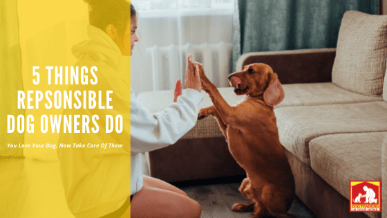 Responsible Dog Owners | Dog Training In Your Home Myrtle Beach