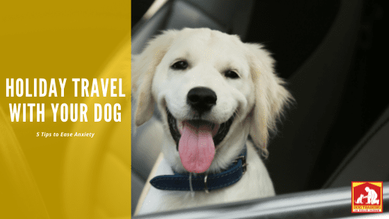 Holiday Travel With Your Dog | Dog Training In Your Home Myrtle Beach