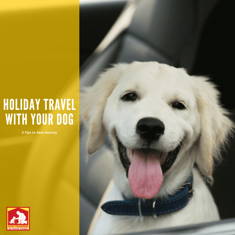 Holiday Travel With Your Dog | Dog Training In Your Home Myrtle Beach