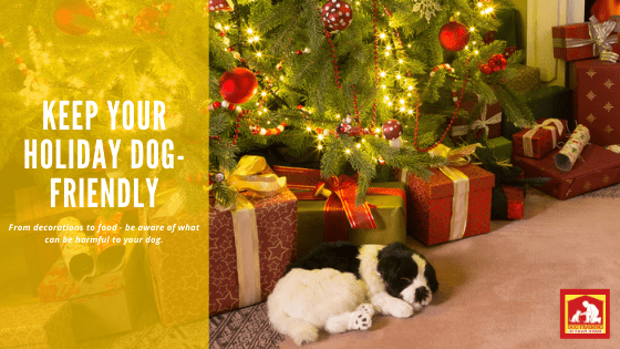 Keep Holidays Dog-friendly | Dog Training In Your Home Myrtle Beach