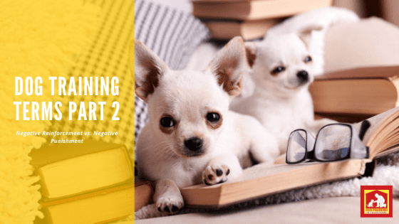 Negative Reinforcement and Punishment | Dog Training In Your Home Myrtle Beach