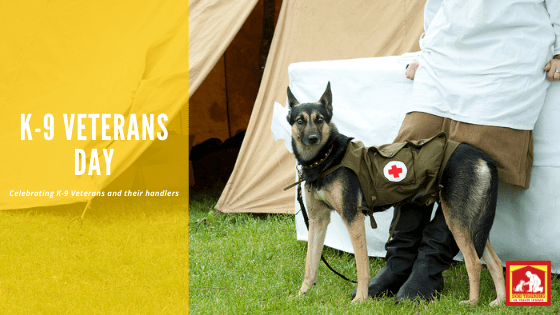 Celebrating the K-9 Veterans on K-9 Veterans Day | Dog Training In Your Home Myrtle Beach