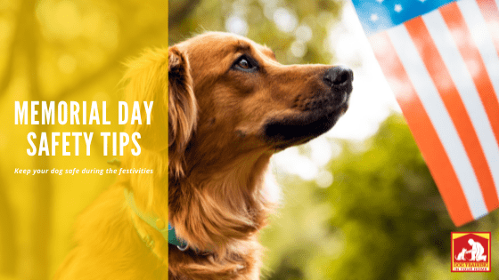 Memorial Day Safety | Dog Training In Your Home Myrtle Beach