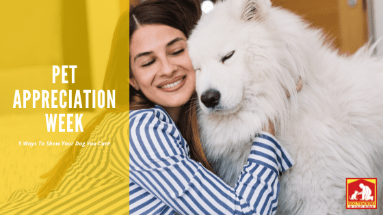 Pet Appreciation Week | Dog Training In Your Home Myrtle Beach