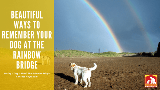 Rainbow Bridge Memorials | Dog Training In Your Home Myrtle Beach