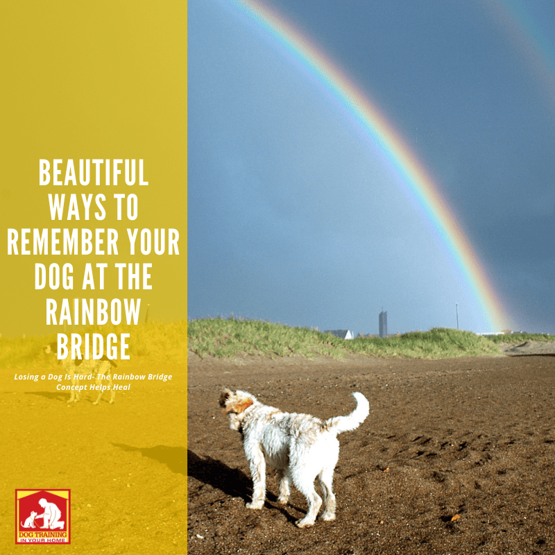 Rainbow Bridge Memorials | Dog Training In Your Home Myrtle Beach