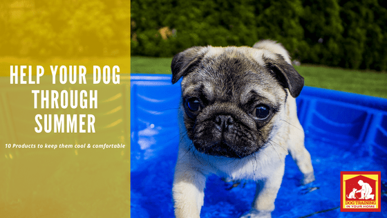 10 Dog Products for Summer | Dog Training In Your Home Myrtle Beach