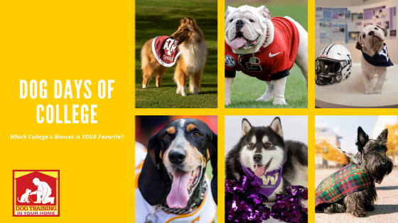 Dog Days of College Dog Mascots | Dog Training In Your Home Myrtle Beach